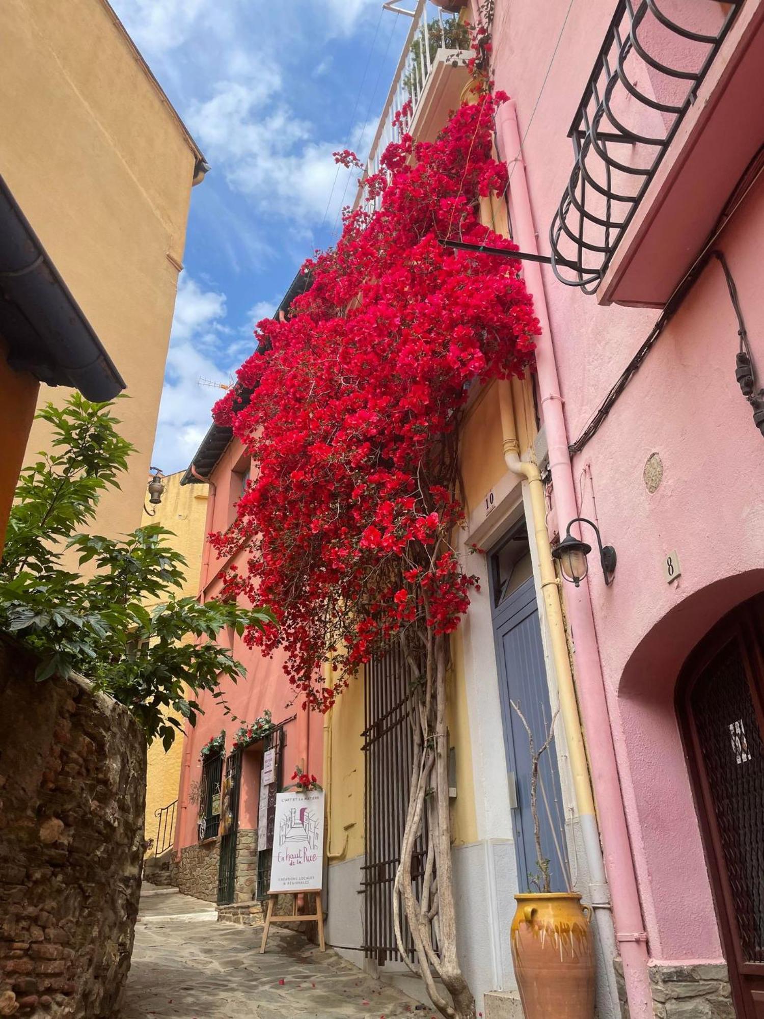 5Rbut1 - Maison Familiale Sur Deux Niveaux En Plein Coeur Du Centre Ville Collioure Luaran gambar